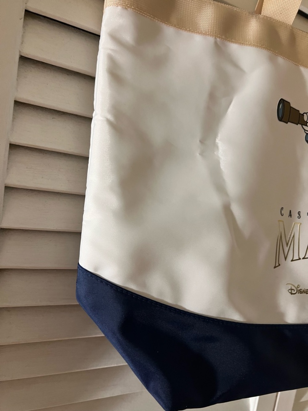 Disney Cruise Line Wish Castaway Club Inaugural Sailings Captain Mickey tote - Picture 7 of 8